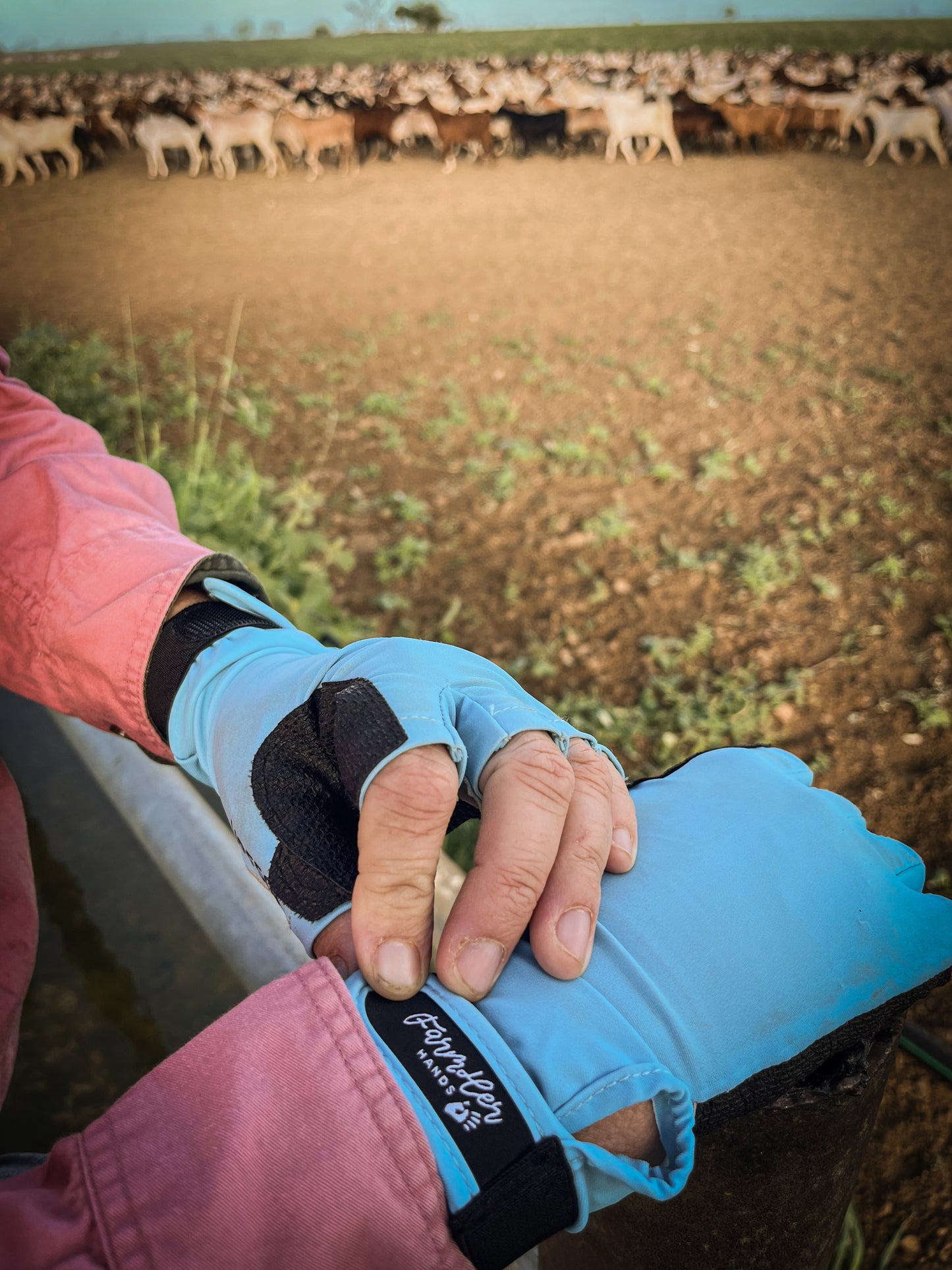 'Dusty Blue' UPF50+ Gloves